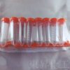 CORNING康寧 已滅菌 細胞級 橘蓋離心管 15ml：圖片 4