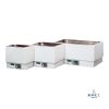 靜態恆溫水槽,B100系列,室溫+5℃〜100℃,(Open Heated Bath)｜FIRSTEK 台灣製造